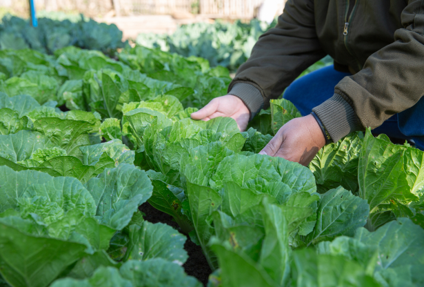 Especialización en Agro